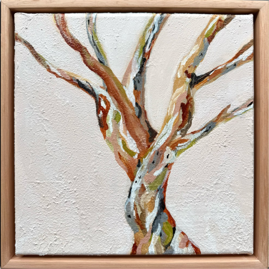 Entwined Snow Gum