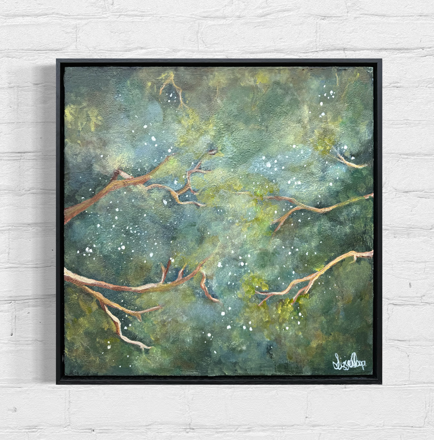 Night Sky of Nitmiluk