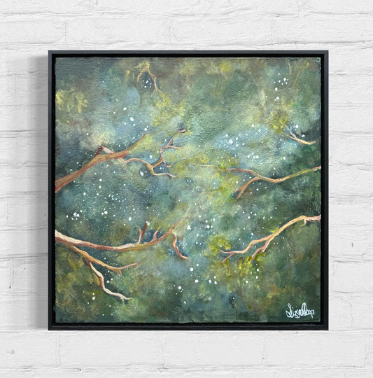 Night Sky of Nitmiluk